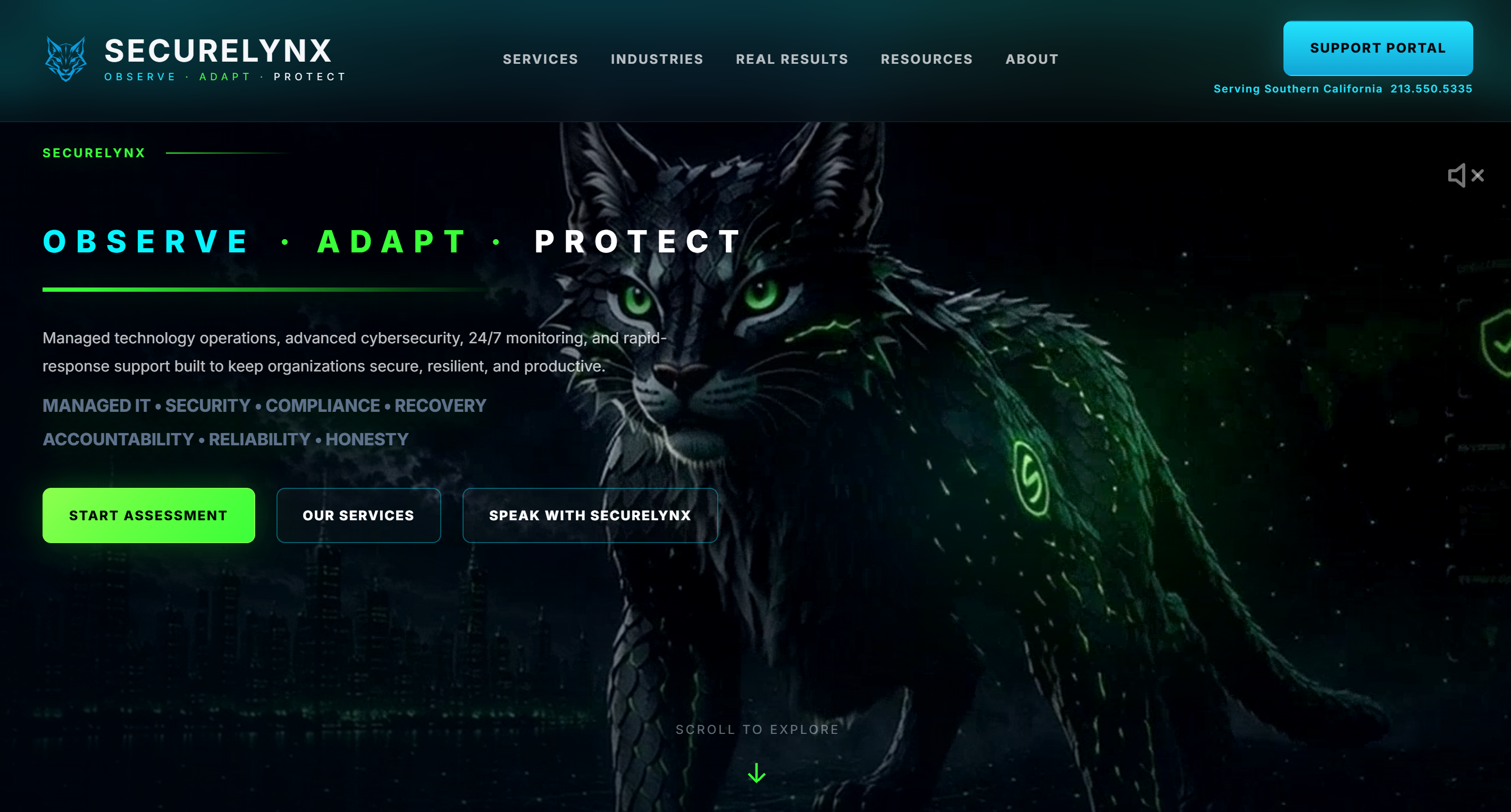 securelynx.it home: Observe &middot; Adapt &middot; Protect